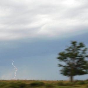 Meet your Posher, Adriane